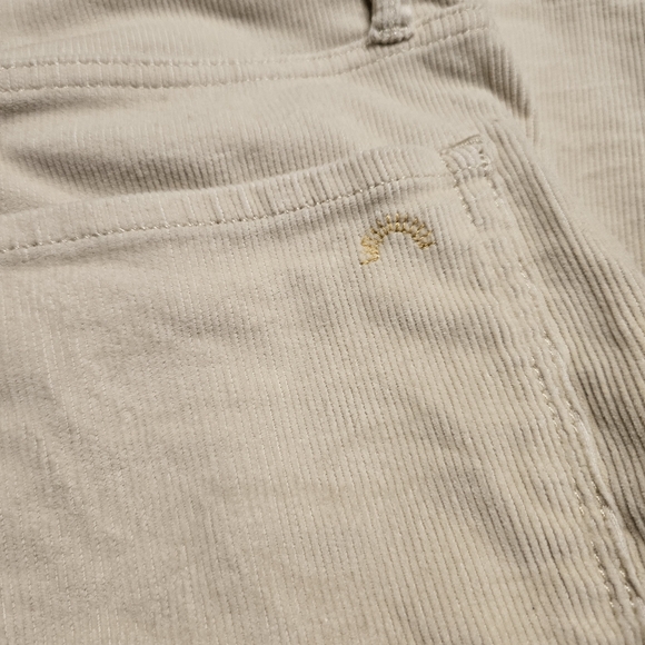 Porter Blue The Wanderer Corduroy Flare High Waisted Wide Leg Pants Size 29 - Picture 13 of 16